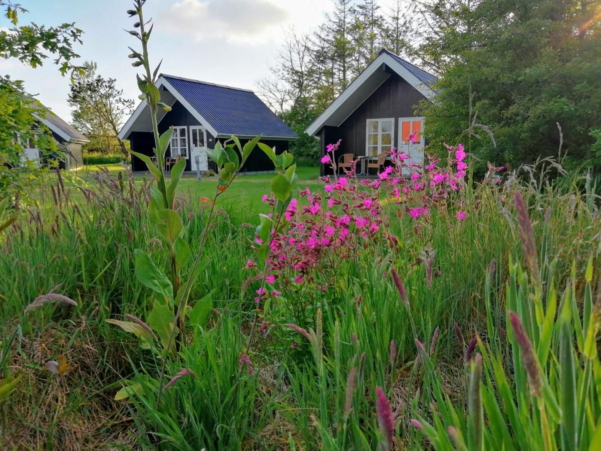 Lindvig - Ferie I Naturen Nymindegab エクステリア 写真